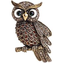 リアスタン フクロウ 梟 ブローチ ビンテージ Amazon | MECHOSEN 縁結び 梟 フクロウのブローチ スカーフ
